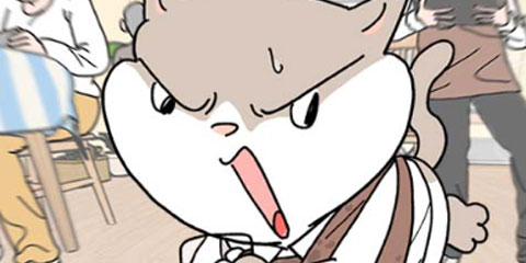 사회초년캣